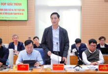 Hà Nội: Tuyệt đối không để phát sinh vi phạm mới về đất đai, trật tự xây dựng khu vực bãi sông, ngoài đê