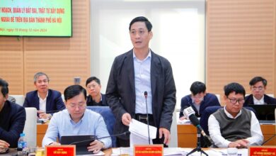 Hà Nội: Tuyệt đối không để phát sinh vi phạm mới về đất đai, trật tự xây dựng khu vực bãi sông, ngoài đê